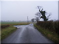 TM3467 : Bruisyard Road near Hernsey Wood by Geographer