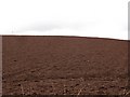 Ploughed field, Annfield