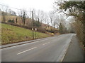 Ely Valley Road climbs away from Bird