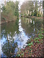 Basingstoke Canal Above Sheerwater Lock