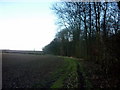 A footpath alongside Huddleston Old Wood