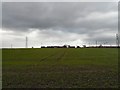 Fields at Hartshead