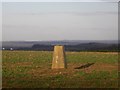 Triangulation pillar by Holtham Lane