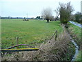 Severn floodplain view