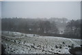 Field between the railway line and the A49