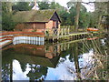 Canal Bank Near Woodham