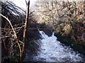 River Carron, Fankerton Weir