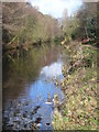 Basingstoke Canal East of Monument Bridge