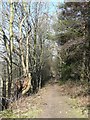 Bridleway past Esholt Sewage Works, Yeadon