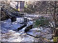 River Carron, Langhill Weir