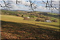 Monmouthshire countryside