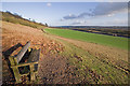 Seat on Oxted Downs