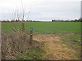 TR3154 : Footpath junction near Cherry Tree Farm by David Anstiss