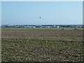 Stubble field by bridleway 2065