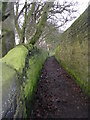 Footpath from Woodlands Park Road to Bankhouse