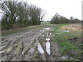 Muddy Footpath