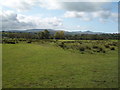 SO1227 : Grassland north of Llangorse lake, with the Brecon Beacons as backdrop by Keith Salvesen