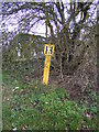 TM3660 : Fire Hydrant  on Benhall Street by Geographer