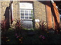 Windowbox outside Duke of York pub, Southwark