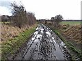 Reivers Cycle Route near Darras Hall