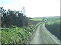 The road from Malborough to Plympton Cross