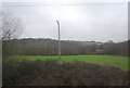 Telegraph pole by the North Downs line