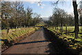 View to Llangibby Walks