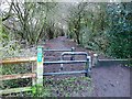 Reivers Cycle Route, Ponteland