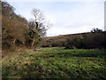 Valley of the Goodwick Brook