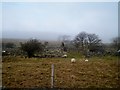 Ruined farmsteads on the slopes of Moel Rhiwen