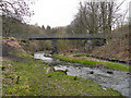 River Medlock, Fairbottom Footbridge