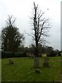 Late December in Longparish Cemetery