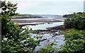 W0053 : Ouvane River estuary near Ballylickey in Co Cork, Ireland by Roger  D Kidd