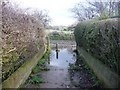 Waterlogged footpath