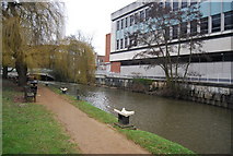 SU9949 : River Wey in Guildford by N Chadwick