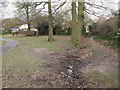 A minor tributary of the Kyd Brook - Main Branch, Farnborough Recreation Ground