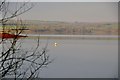 West Devon : Roadford Lake