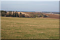 Looking towards Little Blairshinnoch