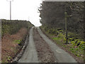 Looking South Along Scotland Lane