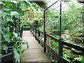 Tropical World - in the Swamp House