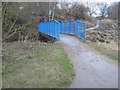 Footbridge over Chester Burn at the Wear riverside