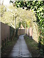 Footpath north of Brooklyn Road, BR2 (2)