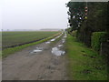 Farm track off Barlow Common Road