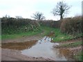 Green lane near Holbrook Farm