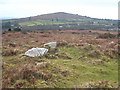 On the summit of Godolphin Hill