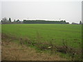 Farmland, West Cowick