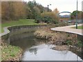 The Pool River south of Winsford Road, SE6 (4)