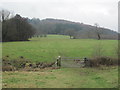 Fields leading towards Coedarhydyglyn