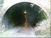 NT2772 : Eastern end of the Innocent Railway Tunnel by kim traynor