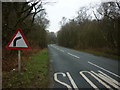 The road to Thorganby at Danes Hill